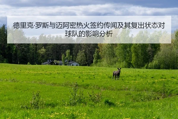 德里克·罗斯与迈阿密热火签约传闻及其复出状态对球队的影响分析