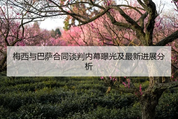 梅西与巴萨合同谈判内幕曝光及最新进展分析